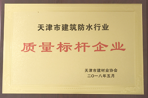 15C4X3G220-32495